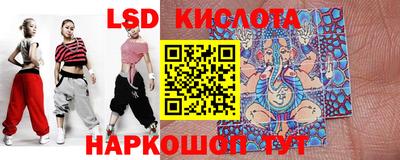 стаф Новокубанск