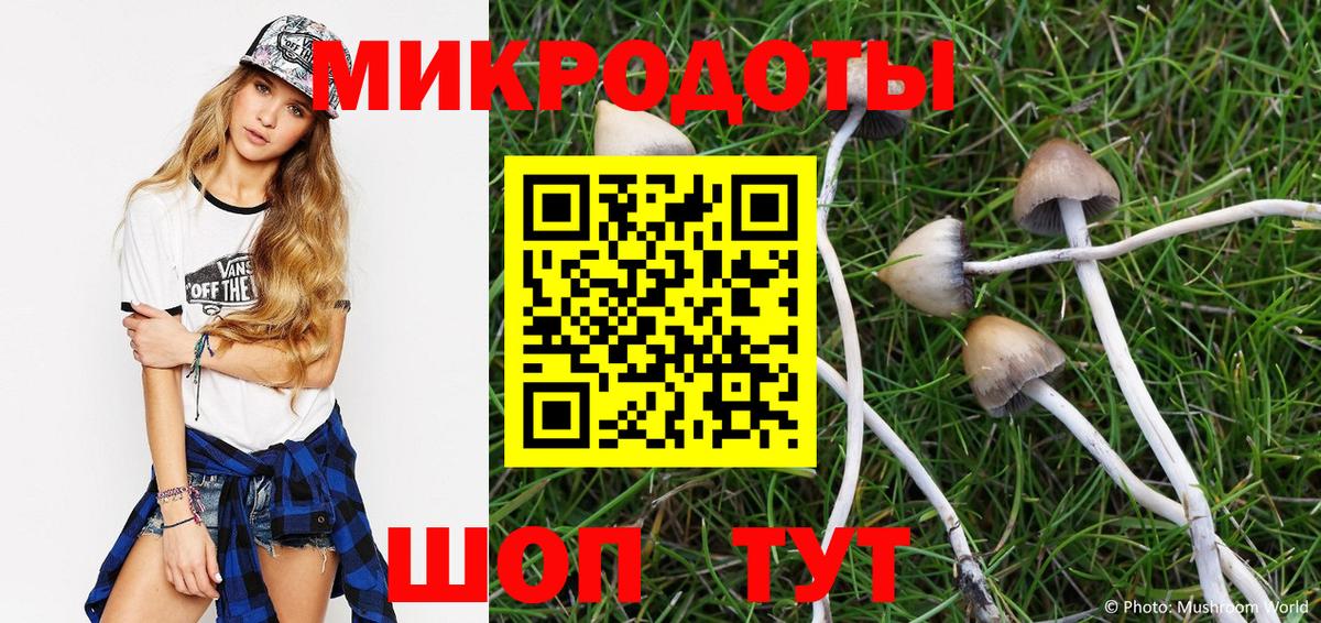 где купить наркоту  Псилоцибиновые грибы Cubensis  Вход с VPN  Чапаевск 